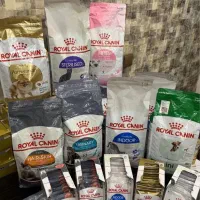 رویال کنین اورجینال فرانسه با ضمانت اصالت و قیمت