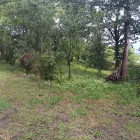 زمین با کاربری مسکونی روستایی