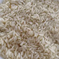 حراج برنج چمپا فوق‌العاده با کیفیت