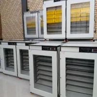 دستگاه جوجه کشی- با سیستم ضدعفونی UV