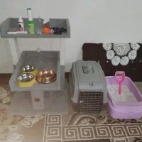 لوازم کامل گربه