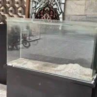 باکس گل و اکواریوم
