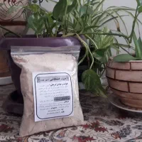 قاووت درجه۱ کرمان. مقوی وپر انرژی