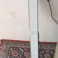 لامپ. پروژکتور رشد گیاه
