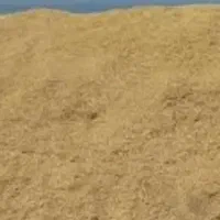 کاه عدس