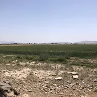 ۱۲۰۰۰ متر زمین کشاورزی جنب آسفالت