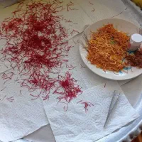 زعفران|خوردنی و آشامیدنی|تهران, مهرآباد|دیوار