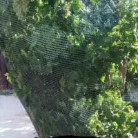 تنها تولیدکننده تور ضدپرنده درایران گارانتی ۵ ساله