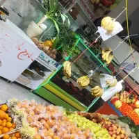 یخچال ایستاده مخصوص برای ترباری