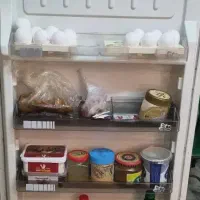 یخچال فلور در آمل