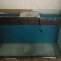 آکواریم ماهی