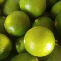 لیمو ترش
