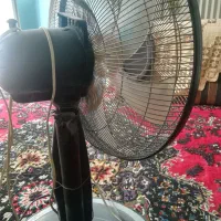پشتی بدلیل شرایط بفروش میرسد