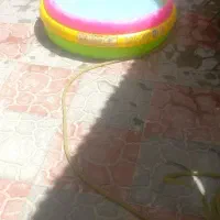 استخر|اسباببازی بچه|کرج, حصارک پایین|دیوار