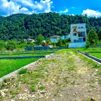 270متر زمین شهرکی ویو ابدی کلارآباد یالبندان