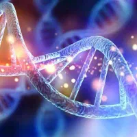 نویسنده همکار مقاله ،تقویت رزومه ،مهاجرت