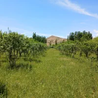 به یک نفر باغبان نیازمندیم