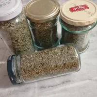 آویشن کوهی