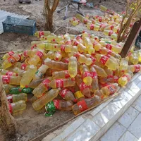 به عکس دقت کنید