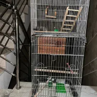 قفس پرنده سالم ومحکم