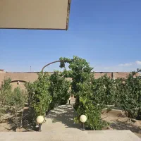 فروش باغ نقلی