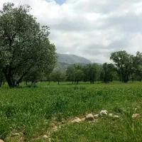 آپارتمان-155-متری-3-خوابه-جنوبی-زرهی-شبان
