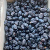 خریدار خرما درجه دو سورت شده