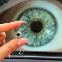 فکری|اسباب‌‌بازی|نیشابور, کوی یغما|دیوار