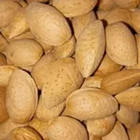بادام تاکستان ،بادام پوست نازک آجیلی درشت ودوقولو