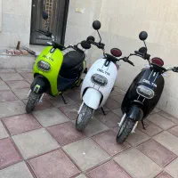 موتور