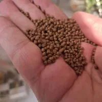 اپراتور و فنی کار ماهر هستم برای تولید خوراک آبزی