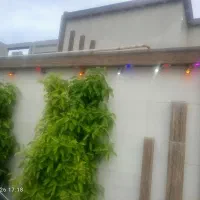برق کشی ساختمان