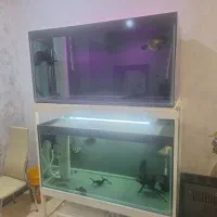 اکواریوم شیشه ۱۰ میل شفاف ،۱۲۰*60*60
