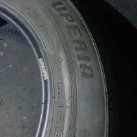 لاستیک ساینا