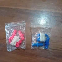 دماغ‌گیرشنا