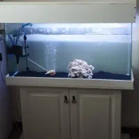 آکواریوم|ماهی|کرج, گلستان|دیوار