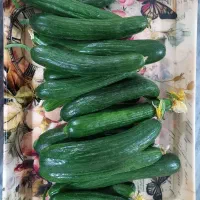 خیار|خوردنی و آشامیدنی|دورود, |دیوار