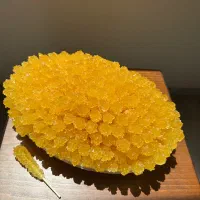 نبات