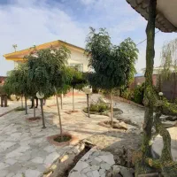 خانمی مجرد جهت آشپزی برای زوج پزشک