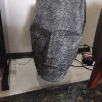 گلدان چهره ،گلدان صورت بزرگ