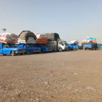کاه گندم دیم
