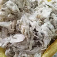 فروش پشم سه شلیف زیر قیمت بازار کیلو 15