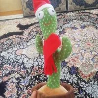 کاکتوس رقصنده