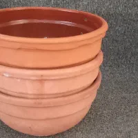 میوه خوری