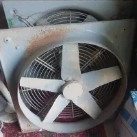 خردکن مرغ فروشی