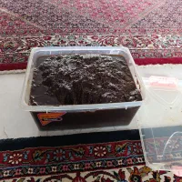 رب انار و عسل و برنج