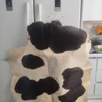 پوست چرم گوساله
