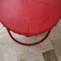 قارچ