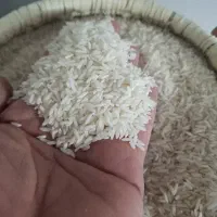 برنج هاشمی فوق ممتاز