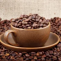 عمده فروش و خورده فروش قهوه
